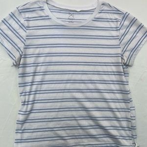 Pacsun basics striped white and blue tee shirt